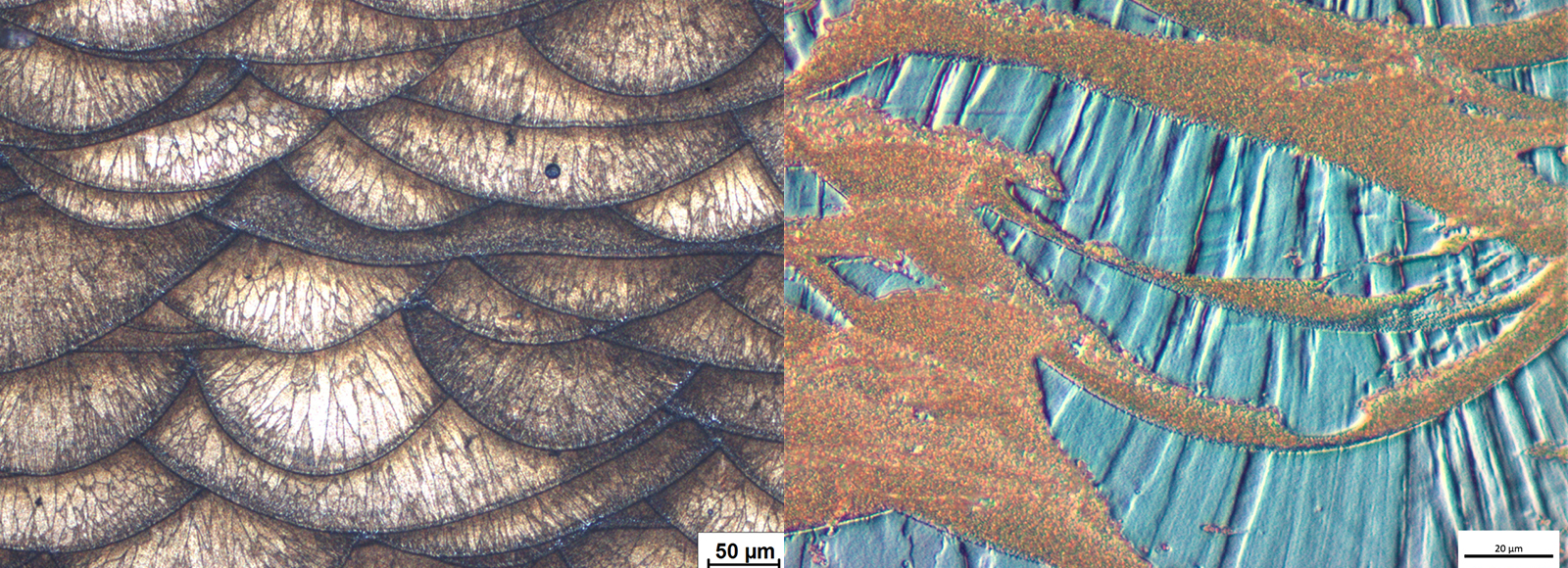 Different aluminium alloys