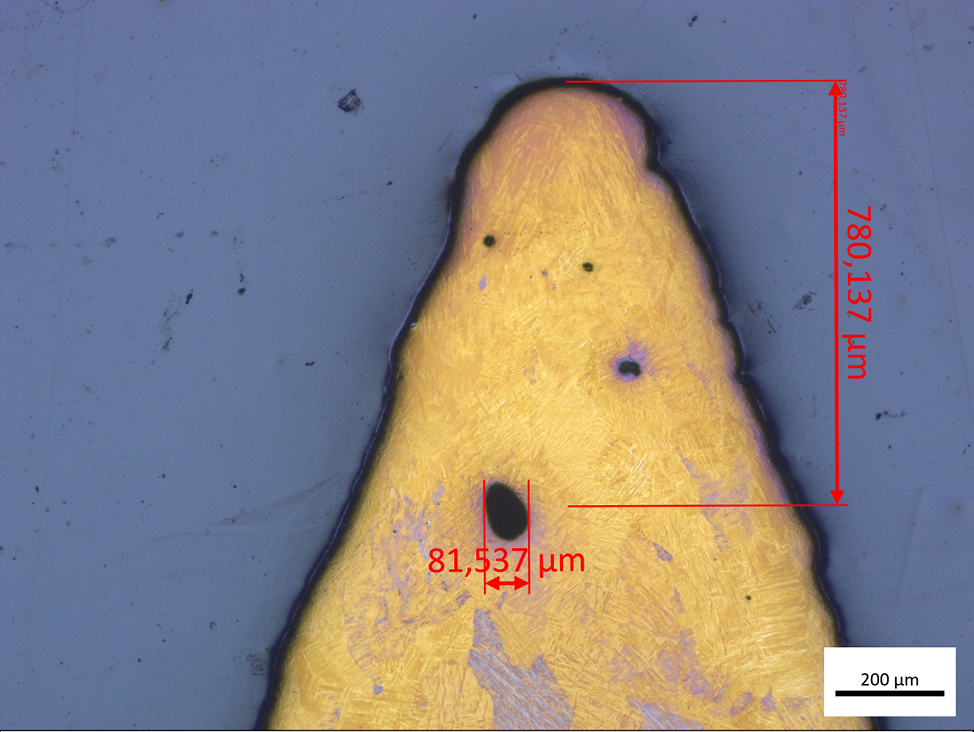 Microscopio ottico