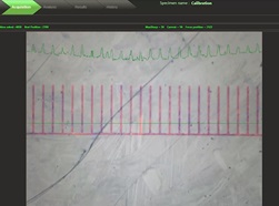 StructureExpert Auto calibration