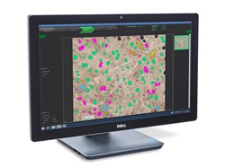 StructureExpert Dedicated software